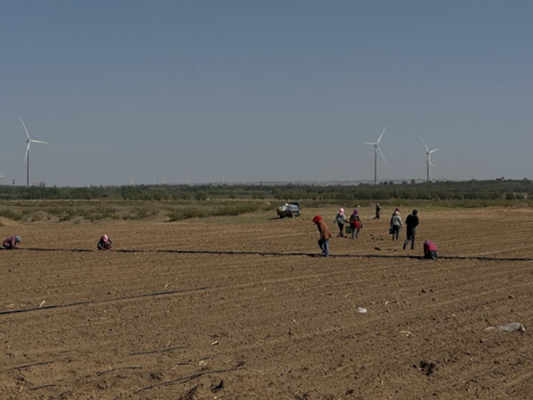 231747970564165650.png 圖片1_副本.png